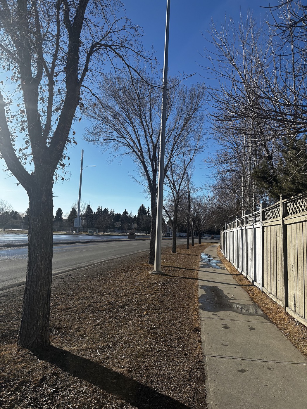 Snowmelt, February