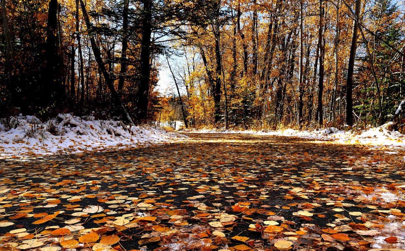 The valley in October
