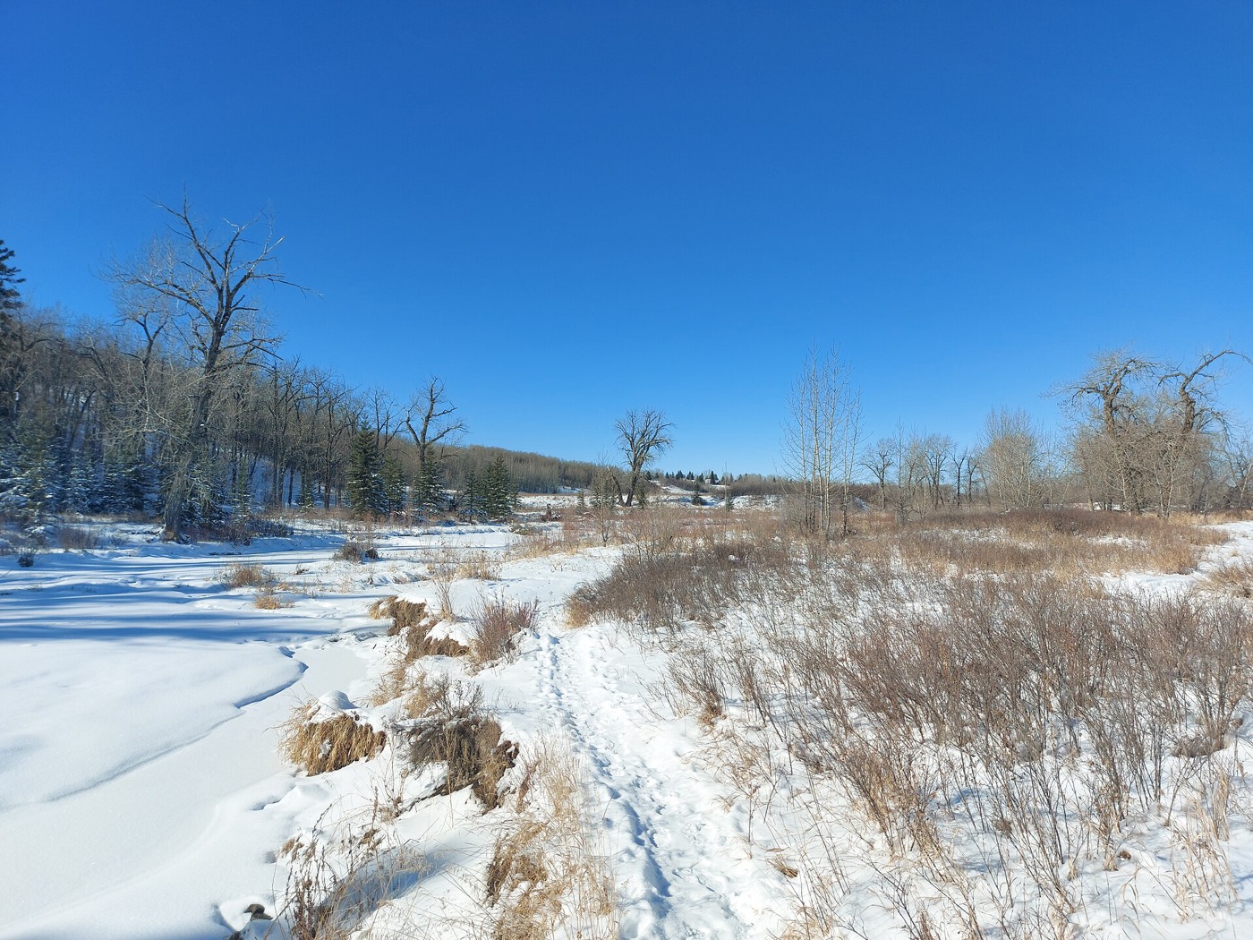 February — Fish Creek, Calgary area